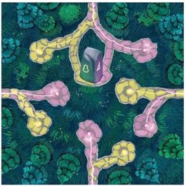 Juego de Cartas Fairy Trails en Español - Uwe Rosenberg - Para 2 Jugadores