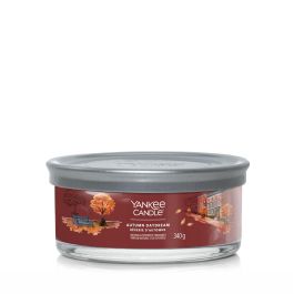 Vela Perfumada Yankee Candle Autumn Daydream 340 g