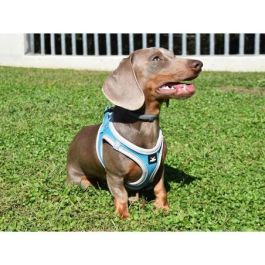 Nayeco X-Trm Neo Arnés para Perro Transpirable Acolchado Reflectante Ajustable con Cierre de Seguridad Azul Talla S 40-45 cm