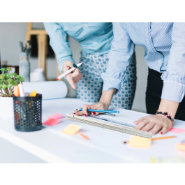 Liderpapel Escala Aluminio Triangular 30 cm Funda Protectora 1:20 1:25 1:50 1:75 1:100 1:150