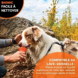 Bionic BIO0022517978085 Juguete Perros Hueso Mediano 12 cm Caucho Ultra Resistente Libre de Plomo BPA Ftalatos
