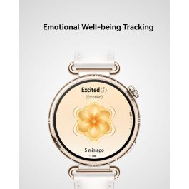 Smartwatch Huawei Watch GT 6 Konsu-B19M Dorado 1,32"