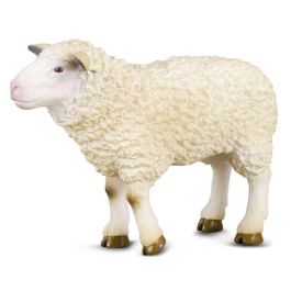 Oveja - M - 88008 - Collecta Precio: 5.9532. SKU: B1AQS5C7QW