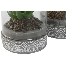 DKD Home Decor Planta Gris 12x18x12 cm (4 Unidades)