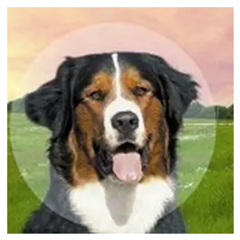 B. Braun Collar Isabelino Collclick 30 - 1 Unidad Precio: 8.9908203. SKU: B1FCGHWNPQ