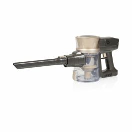 Aspirador Escoba Princess 339395 300 W