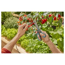 Gardena 13330-20 AquaBloom L Set Sistema de Riego Solar por Goteo con Manguera de 20m