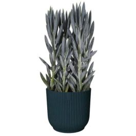 Elho ELH8711904494407 Maceta Redonda de Plástico Negra para Flores Ø45 cm Elho ELH8711904494407 Maceta Redonda de Plástico Negra para Flores Ø45 cm