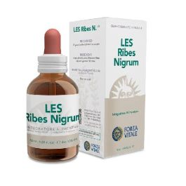 Les Ribes Nigrum (Grosellero Negro) Les Ribes Nigrum (Grosellero Negro) Precio: 16.5899998. SKU: B1GHACPB3W