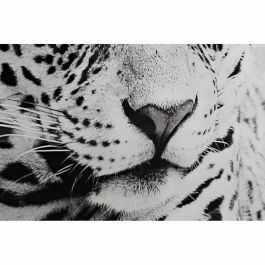 Cuadro DKD Home Decor 100 x 2,5 x 100 cm Leopardo Colonial (2 Unidades) Cuadro DKD Home Decor 100 x 2,5 x 100 cm Leopardo Colonial (2 Unidades)