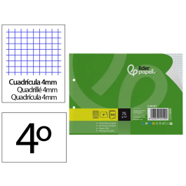 Liderpapel Recambio Cuadernos A5 Apaisado, 100 Hojas Cuadrícula 4 mm, Papel 75 g, 2 Taladros con Margen