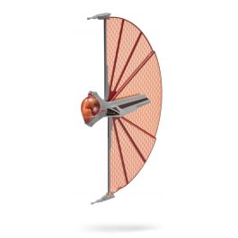 Jazwares Figura Star Wars Nave Ginivex de Asajj Ventress 8 cm