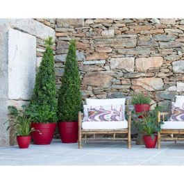 Capri Campana Antracita 30Cm Capri Campana Antracita 30Cm