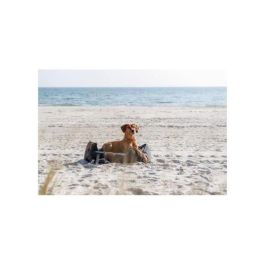 Trixie TRI4047974171509 Collar Semi-Estrangulador BE NORDIC de Piel Gris L-XL 55 cm Ø 10 mm