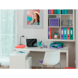 Esselte Archivador de Palanca DIN A4 Lomo 75 mm Carton Forrado PVC Color Coral