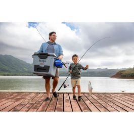 Ninja FB131EUGY FrostVault Nevera Portátil 28 L Gris con Asa de Transporte y Bloqueable