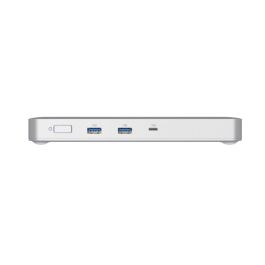 Hub USB D-Link DUF-901/E Gris 100 W