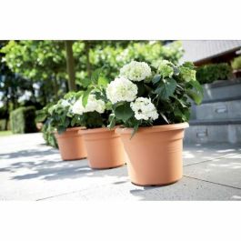 Elho ELH8711904138851 Maceta Redonda Vibras para Flores de Plástico Ø30 Polvo de Rosa