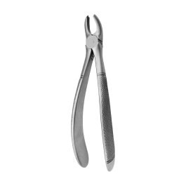 Forceps Pequenas N39A Molares Direita Covetrus Precio: 86.68999988. SKU: B1AMD5FMHA