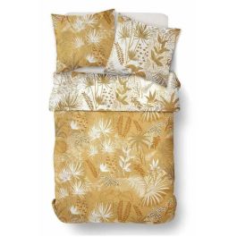 Today TOD3574641237059 Juego de Cama Doble Estampado Crazy 7.2, 220 x 240 cm