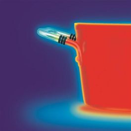 Fissler 086-112-24-000/0 Olla con Tapa 24cm 5.7L Acero Inoxidable Fondo Superthermic Apto Inducción