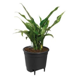 Elho Maceta con autorriego Insert 33 - Negro - Ø 33 x H 31 cm - accesorios de interior - 100% reciclado Precio: 28.49999999. SKU: B14V33SPLS