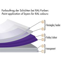 Goma Líquida para Coches Foliatec Canister Transparente Brillantes 5 L
