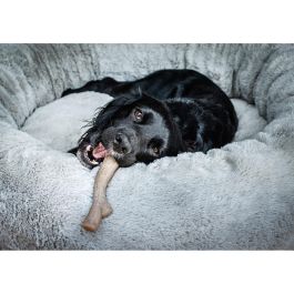 Nylabone Gourmet Stick Cacahuete XL Nylabone Gourmet Stick Cacahuete XL