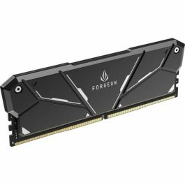 Memoria RAM Forgeon 16 GB DIMM 3200 MHz CL16 Memoria RAM Forgeon 16 GB DIMM 3200 MHz CL16