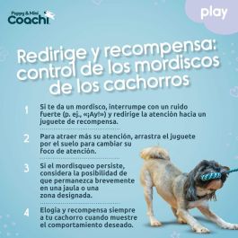 Arnés para Perro Coachi