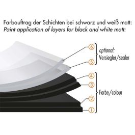 Goma Líquida para Coches Foliatec Canister Transparente Brillantes 5 L