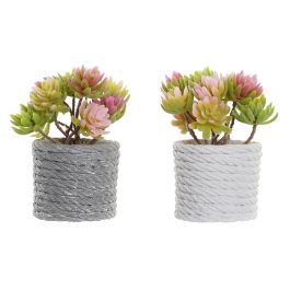 Planta DKD Home Decor Beige Gris 10 x 14.5 x 12 cm (6 Unidades) Precio: 22.88999955. SKU: B1FYB3NP6P