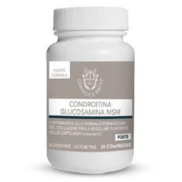 Condroitina Glucosamina Msm 30Comp. Condroitina Glucosamina Msm 30Comp. Precio: 17.5000001. SKU: B14JR9LRNQ