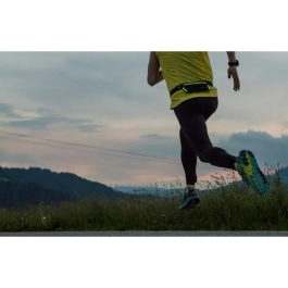 Schildkrot SCH3830058980347 Cinturón para correr Wheel Bee Running Riñonera Night Runner con luz LED