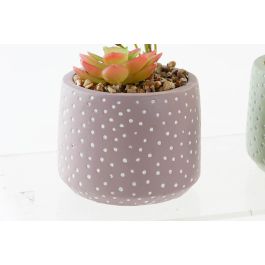 DKD Home Decor Planta Artificial Decorativa Set de 6 Unidades de 18 cm de Alto con Maceta de Cemento y PE Colores Surtidos DKD Home Decor Planta Artificial Decorativa Set de 6 Unidades de 18 cm de Alto con Maceta de Cemento y PE Colores Surtidos