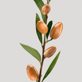 Shu Uemura SILK BLOOM Acondicionador Reparador para Cabello Muy Dañado 250 ml