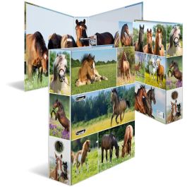 HERMA 19251 Archivador A4 Anilla en D Pferdewiese 7 cm Multicolor Cartón Precio: 17.5000001. SKU: B1J3AW5CFK