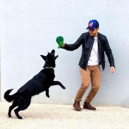 Cerdá Peluche para Perro Avengers 13x18x22 cm