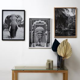 Home Deco Factory Cuadro 45x60 cm Blanco Negro Madera MDF Vidrio Papel Imágenes Blanco y Negro