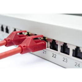 Digitus Patchpanel 1HE 24 Puertos Cat6a Blindado Gris Claro