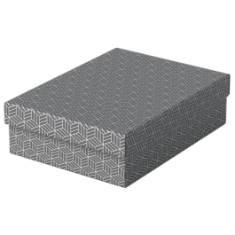 Esselte Caja de almacenamiento de cartón gris 360x265x100 mm pack 3 unidades Precio: 17.5000001. SKU: B19D3CNVVZ