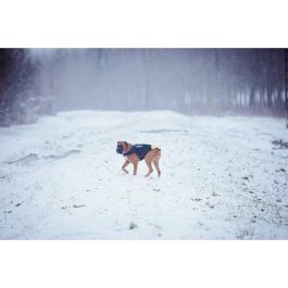 Arnés para Perro Julius K9 IDC L/XL 2