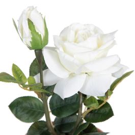 Planta Rosas 3/M Blanco-Rosa Artificial 13 X 13 X 28 cm