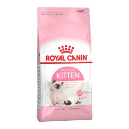 Royal Canin Alimento para Gatitos Feline Kitten, 2 kg Precio: 31.5900002. SKU: B14W29KAYZ