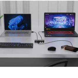 Switch KVM i-Tec CAKVMHUB2A2C 1 m