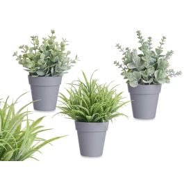 Maceta Planta Verde Surtidos Ibergarden 12X18CM (24 Unidades) Precio: 38.50000022. SKU: B1DM8A3DT6