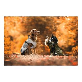Abrigo para Perro Norton 360 Uppsala 45 cm Marrón Abrigo para Perro Norton 360 Uppsala 45 cm Marrón