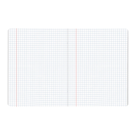 Liderpapel Libreta Escolar Scriptus 48 Hojas Din A5 Cuadro 6 mm Papel 90 gr Sin Margen