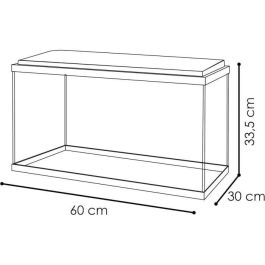 Ciano CIA5607390542667 Acuario 60 L con Filtro CF80, Iluminación LED, Calefacción y Espuma 30 PPI, Color Negro