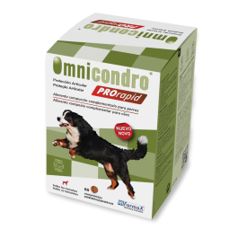 Omnicondro Prorapid 60 Comprimidos Precio: 57.7900004. SKU: B17ZPFAN6D